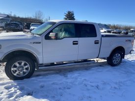 2013 FORD F150 CREW CAB