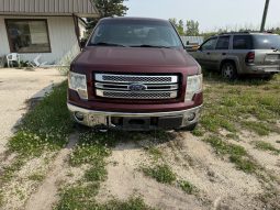 2009 ford f150 crew cab